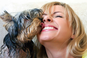 What is Healing Image of Woman and Pooch